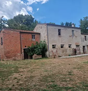 Foto annuncio 41