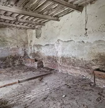 Foto annuncio 47