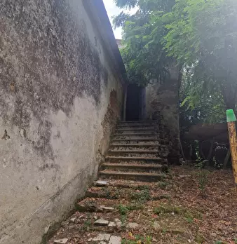 Foto annuncio 58