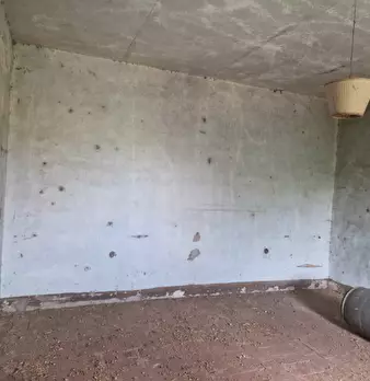 Foto annuncio 63