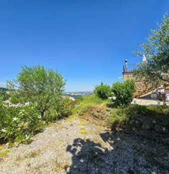 Foto annuncio 29