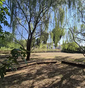Foto annuncio 80