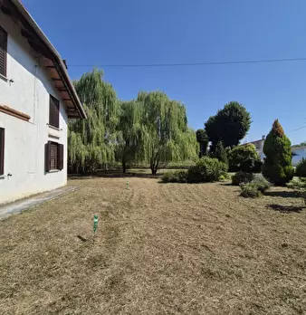 Foto annuncio 84
