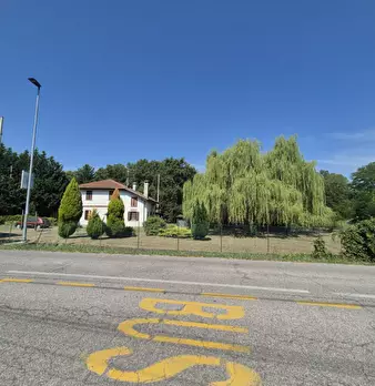 Foto annuncio 86