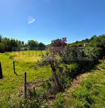 Foto annuncio 11