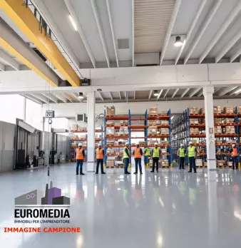 Foto annuncio 6