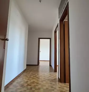 Foto annuncio 12