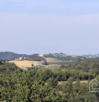 Foto annuncio 37