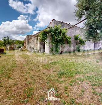 Foto annuncio 5