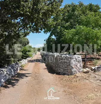 Foto annuncio 22