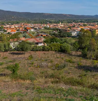 Foto annuncio 12