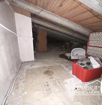 Foto annuncio 22