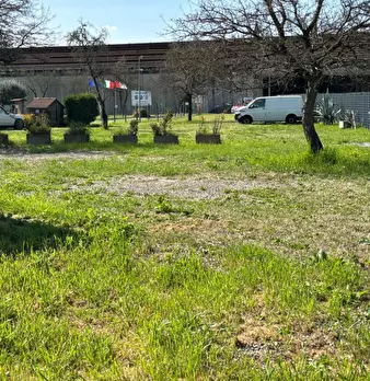 Foto annuncio 5