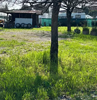Foto annuncio 7
