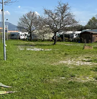 Foto annuncio 9