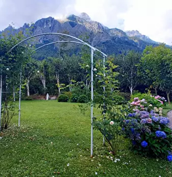 Foto annuncio 6