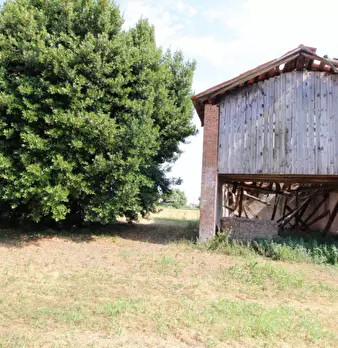 Foto annuncio 2