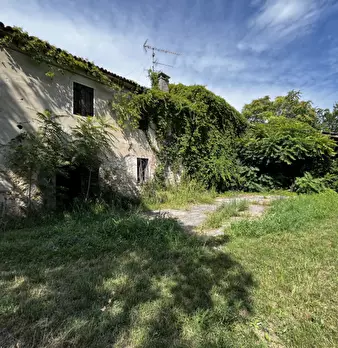 Foto annuncio 2