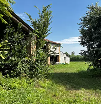 Foto annuncio 5
