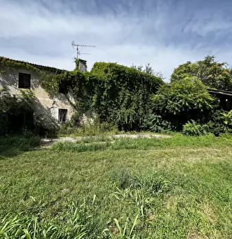 Foto annuncio 7