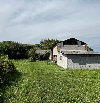 Foto annuncio 8