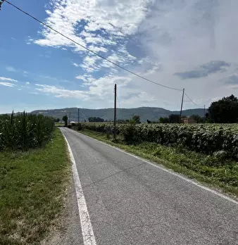 Foto annuncio 9