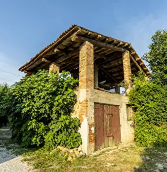 Foto annuncio 30
