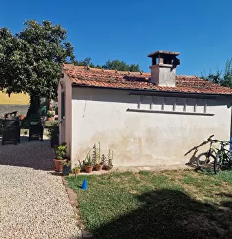Foto annuncio 29