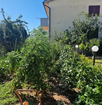 Foto annuncio 32