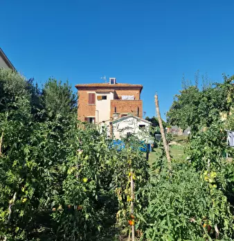 Foto annuncio 33
