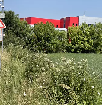 Foto annuncio 12