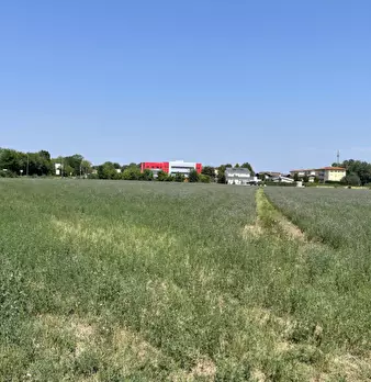 Foto annuncio 13
