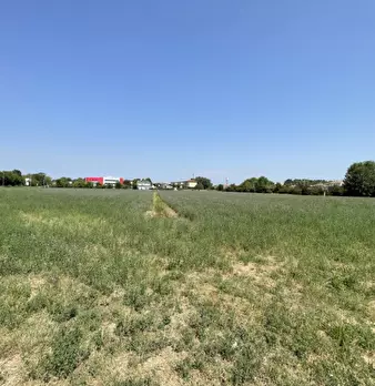 Foto annuncio 14