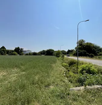 Foto annuncio 16