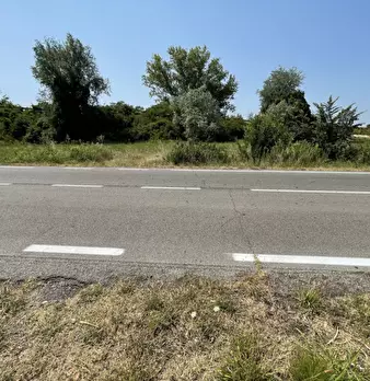 Foto annuncio 17