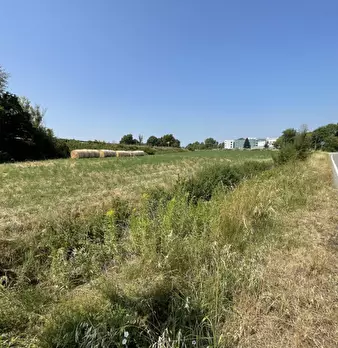 Foto annuncio 18