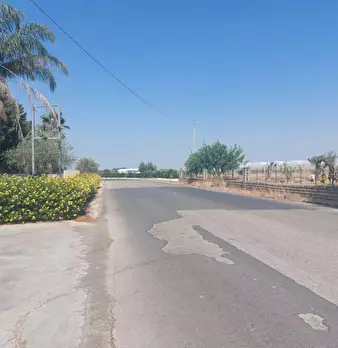Foto annuncio 3