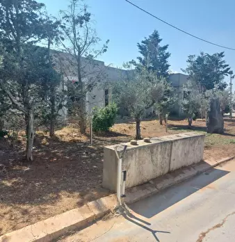 Foto annuncio 6