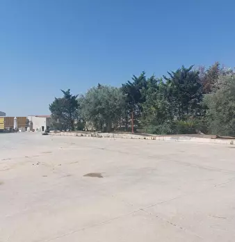 Foto annuncio 9