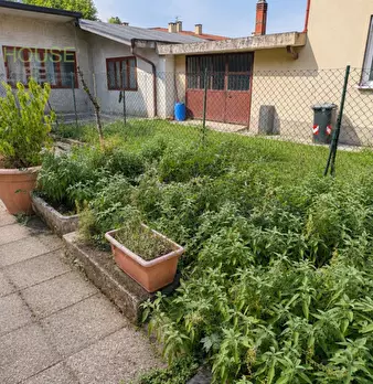 Foto annuncio 17