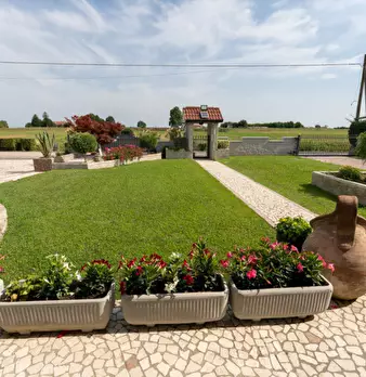 Foto annuncio 2