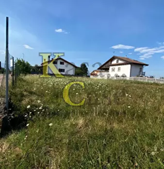 Foto annuncio 7