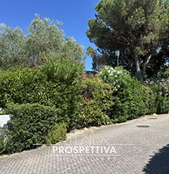 Foto annuncio 33