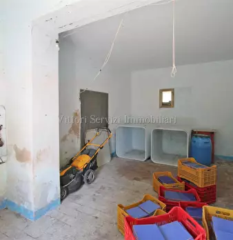 Foto annuncio 21