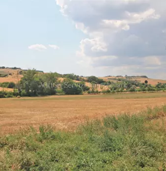 Foto annuncio 32