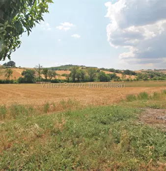 Foto annuncio 33
