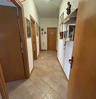 Foto annuncio 11
