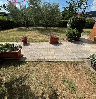 Foto annuncio 33