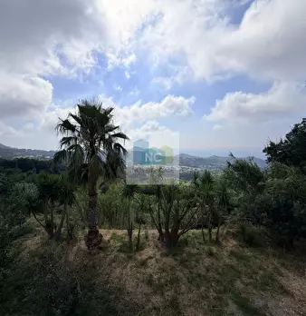 Foto annuncio 11