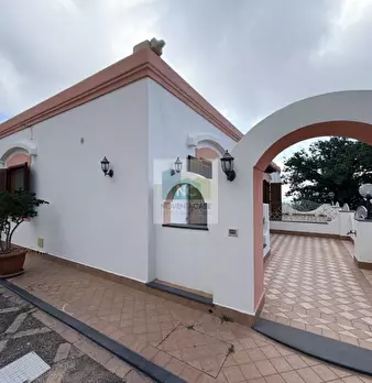 Foto annuncio 26